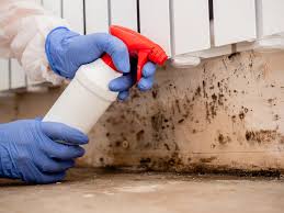 Best Mold Removal for HVAC Installations  in Highwood, IL